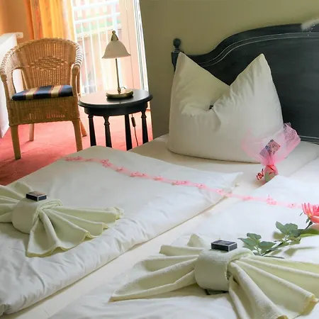 Hotel Peenhauser *